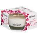 Bolsius True Moods Duftglas Flach 50x80 mm Pure Romance...