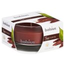 Bolsius True Scents Duftglas Flach 50x80 mm Oud Wood (6...