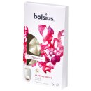 Bolsius True Moods Wax Melts Pure Romance (6 St&uuml;ck)