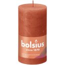 Bolsius Rustik Stumpenkerzen Shine 130x68 mm Herbstliches...