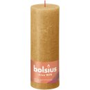 Bolsius Rustik Stumpenkerzen Shine 190x68 mm...