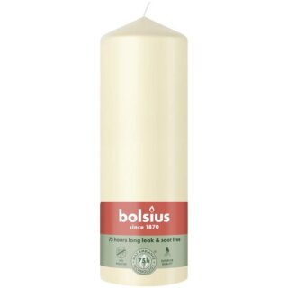 Bolsius Stumpenkerzen 200x68 mm 75h