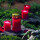 Grabkerzen Nr. 7 rot 85h Grabkerze Grablicht Kompo Engel von Bolsius