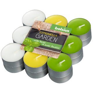 144 Duft Teelichter 17x38 mm citronella/Basilikum Bolsius...