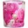 6 Duftkerzen im Glas 80x72 mm Pfingstrose Bolsius Floral Garden Duftgl&auml;ser