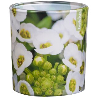 6 Duftkerzen im Glas 80x72 mm L&ouml;ffelkresse Bolsius Floral Garden Duftgl&auml;ser