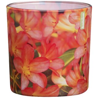 4 Duftkerzen im Glas 100x100 mm Azalee Bolsius Floral Garden Duftgl&auml;ser