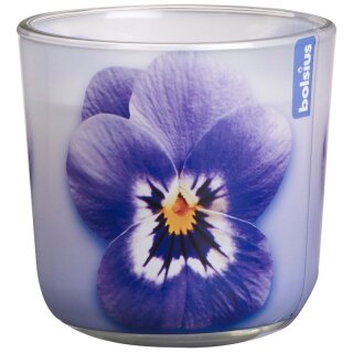 6 Duftkerzen im Glas 76x78 mm Lila Veilchen Bolsius Flower Burst Duftgl&auml;ser