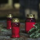 48 Grabkerzen Nr. 7 rot 85h Grabkerze Grablicht Kompo Engel von Bolsius