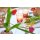 Bolsius Gef&uuml;lltes Duftglas 80x73 mm Holiday Dreams Holl&auml;ndische Tulpen
