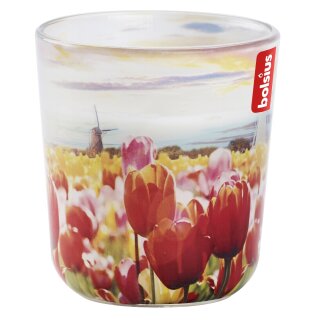 Bolsius Gef&uuml;lltes Duftglas 80x73 mm Holiday Dreams 6 St&uuml;ck Holl&auml;ndische Tulpen