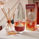 Bolsius Holzduftst&auml;bchen 45ml Diffuser Limited Edition Frosted Garden (6 St&uuml;ck)